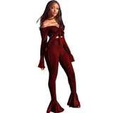 (Free Shipping) Shining Silver Wire Two Piece Set Tie Bow Off Shoulder Long Bell Sleeve Crop Top Skinny Flare Pants High Stretchy Outfit - The Next Shopping Place37.com