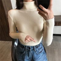 (Free Shipping) Winter Women KnittedPullover Sweater Long Sleeve Turtleneck Slim Soft Warm - The Next Shopping Place37.com