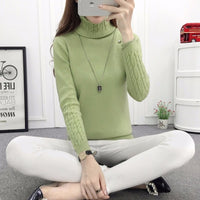 (FREE SHIPPING) Winter Casual Elastic Turtleneck Knitwear Tops - The Next Shopping Place37.com